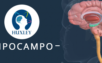 HIPOCAMPO